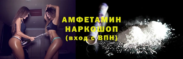 соль ск Кукмор