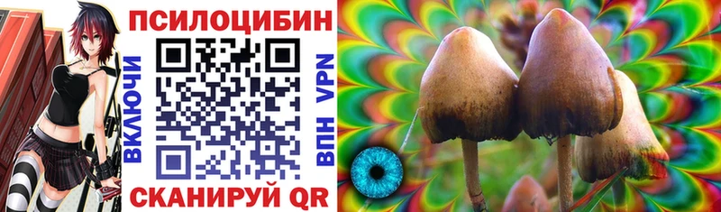 купить наркотик Луга Галлюциногенные грибы Psilocybe